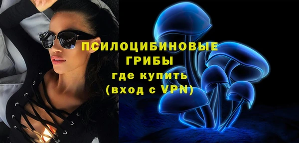 дурь Балахна