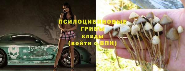 дурь Балахна